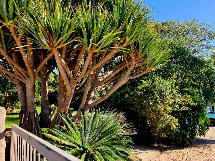 3 Bedroom Property for Sale in Menkenkop Western Cape